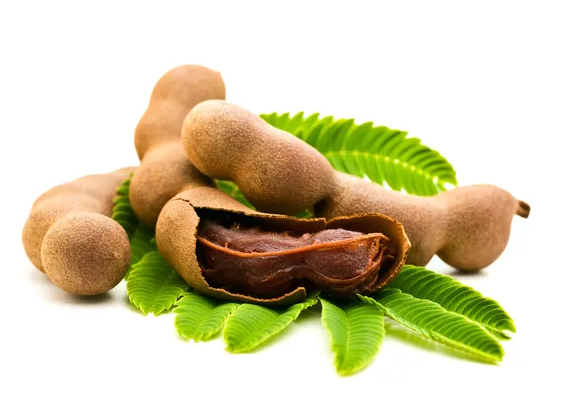 TAMARIND